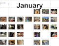 january_2026