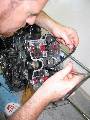 VTR 250 motor assembly