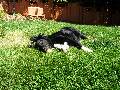 sprawl