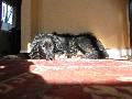nap in the sun