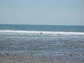 warm ocean