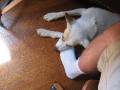 ol' pillow foot