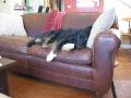good day to do nothing at all