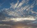 nice day