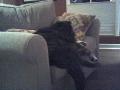 so comfterbuls