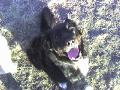 happy boy