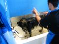 the indignity of it all