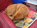 Putting the eeps to the sleeps.