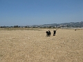 Point Isabel