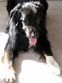 Sun spot.