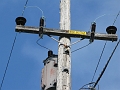 Today class, we learn about utility line transformers and fuses.