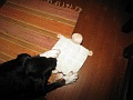 Squeak + sheep = squeap?.