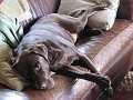 Serious nap.