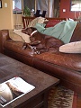 Make yourself at home, bud.