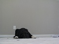 Haz a indifferent.