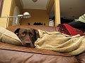 Snug indeed.