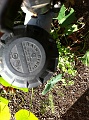 Irrigation, yo.