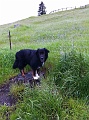 A dry moment in a rainy spring.