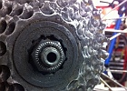 Freewheel versus cassette.