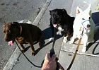 Awww to the power of three.