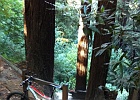 Too much hike a bike