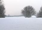 Snow day.