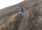 snakes, on a ... trail