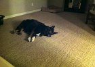 zzz