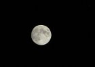 hello, moon