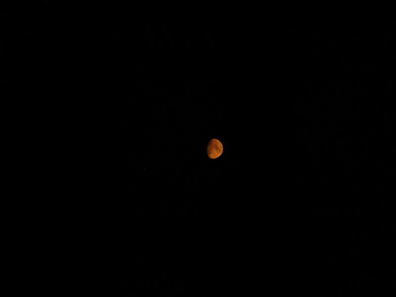 IMG_0935.JPG - Much steadier with the tripod braced. At some point I will figure out that astro photos are not convenient point and shooters.