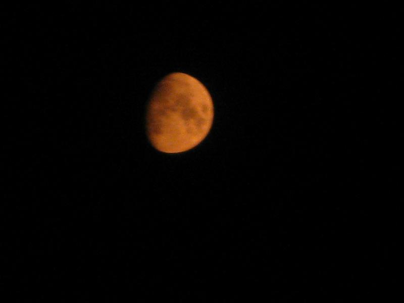 IMG_0938.JPG - You can tell it isn't a lunar eclipse. Why? 20% of exam.