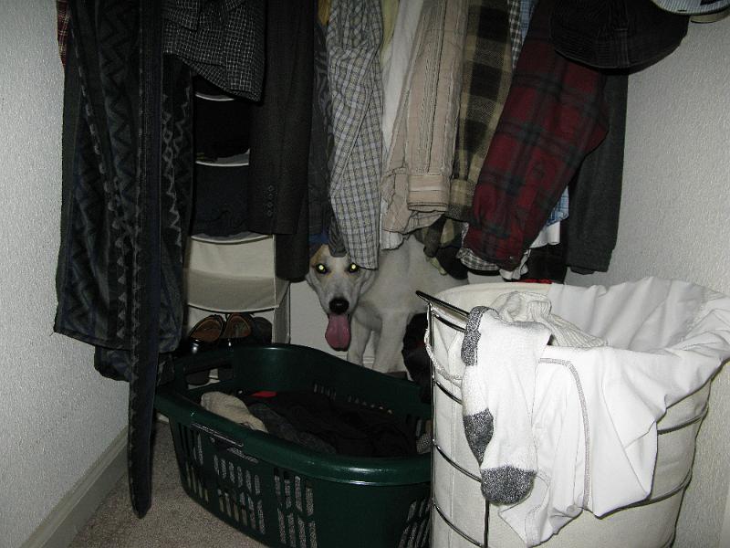 IMG_0995.JPG - At first she was hiding behing the toilet.