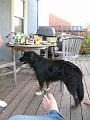 IMG_0974