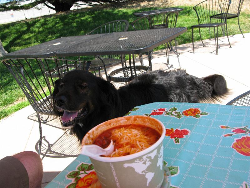 IMG_1006.JPG - Schaefer: "I can has chili?"