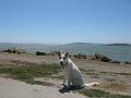 IMG_1008
