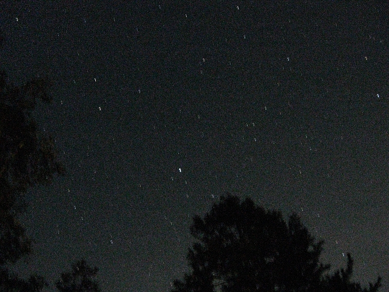 IMG_1186.JPG