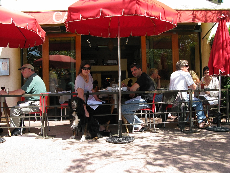 IMG_1224.JPG - Sidewalk brunch and a dog. Living.