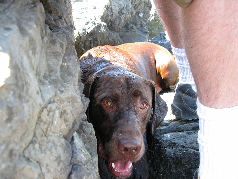 IMG_1245.JPG - Hiding the ball in a safe spot.