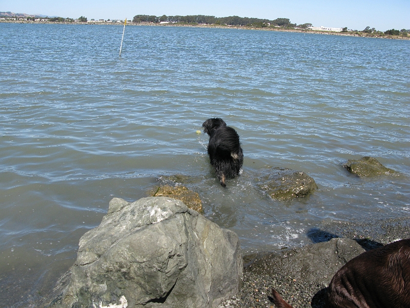 IMG_1247.JPG