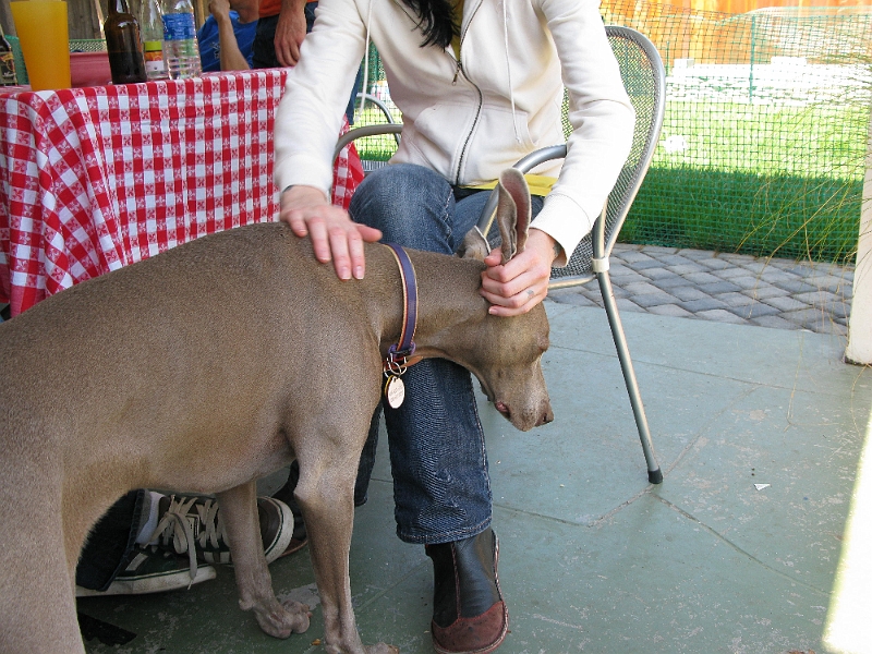 IMG_1277.JPG - Petting a dog or pulling weeds. Hard to tell.