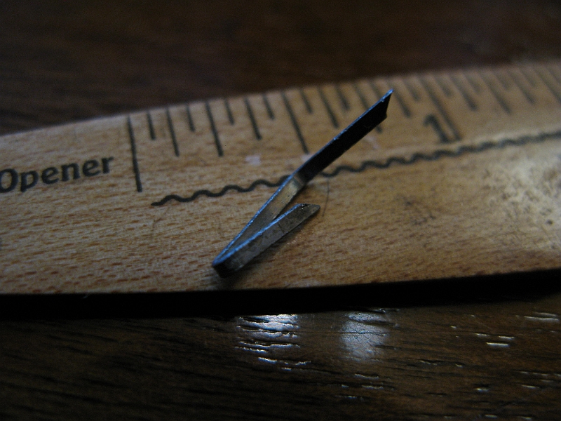 IMG_1323.JPG - How did this staple get in the side of the road for me to run over with my bicycle tire. Bah.