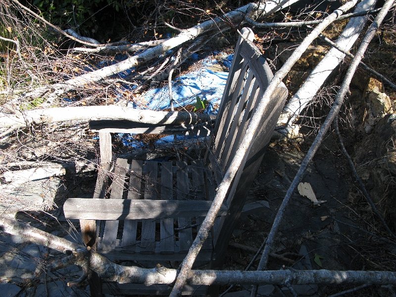 IMG_1340.JPG - Somehow the chair seems to have survived intact. That 3" diameter branch gave way first.