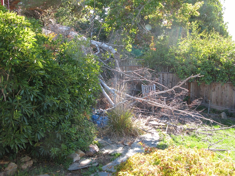IMG_1342.JPG - Now who gets to clean all this up?
