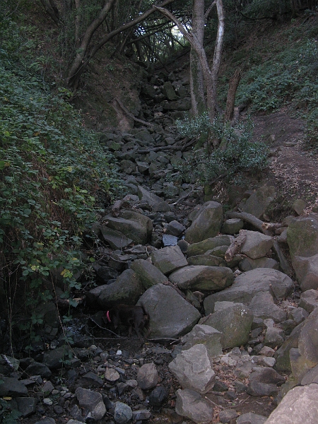 IMG_1743.JPG - One of many creeks that fill the lake. This is the only one that was running though.