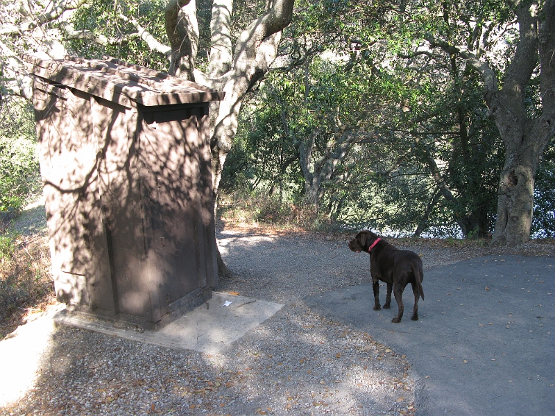 IMG_1751.JPG - Jack keeps vigil.