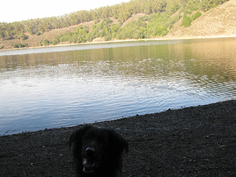 IMG_1769.JPG - Still doesn't know he can swim.