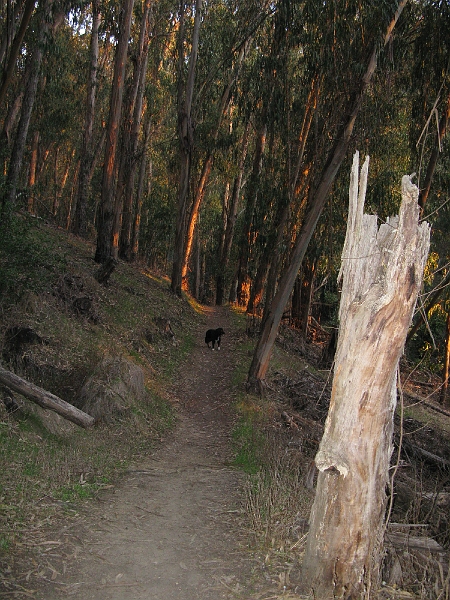 IMG_1775.JPG