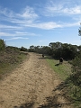 IMG_1734