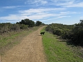 IMG_1735