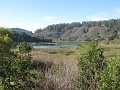 IMG_1741